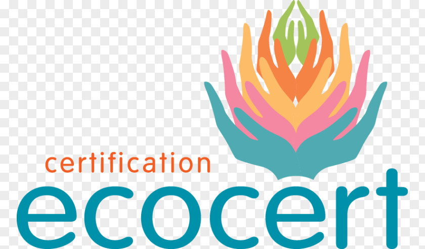 Design Logo Organization Company Certification PNG