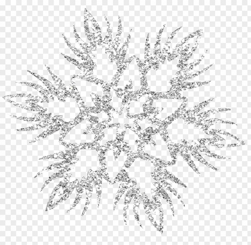 Icicles Snowflake Schema Clip Art PNG