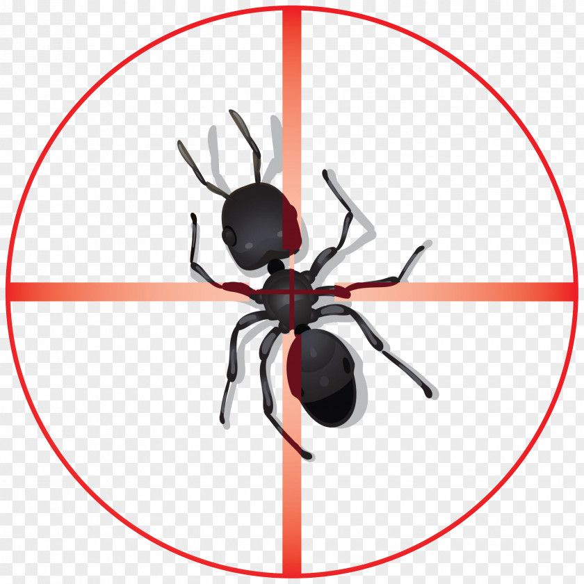 Insect Insecticide Pest Control Ant PNG