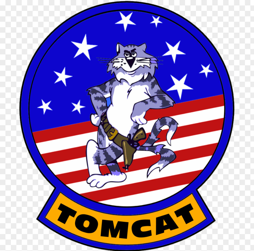 Military Grumman F-14 Tomcat United States Navy Aircraft PNG