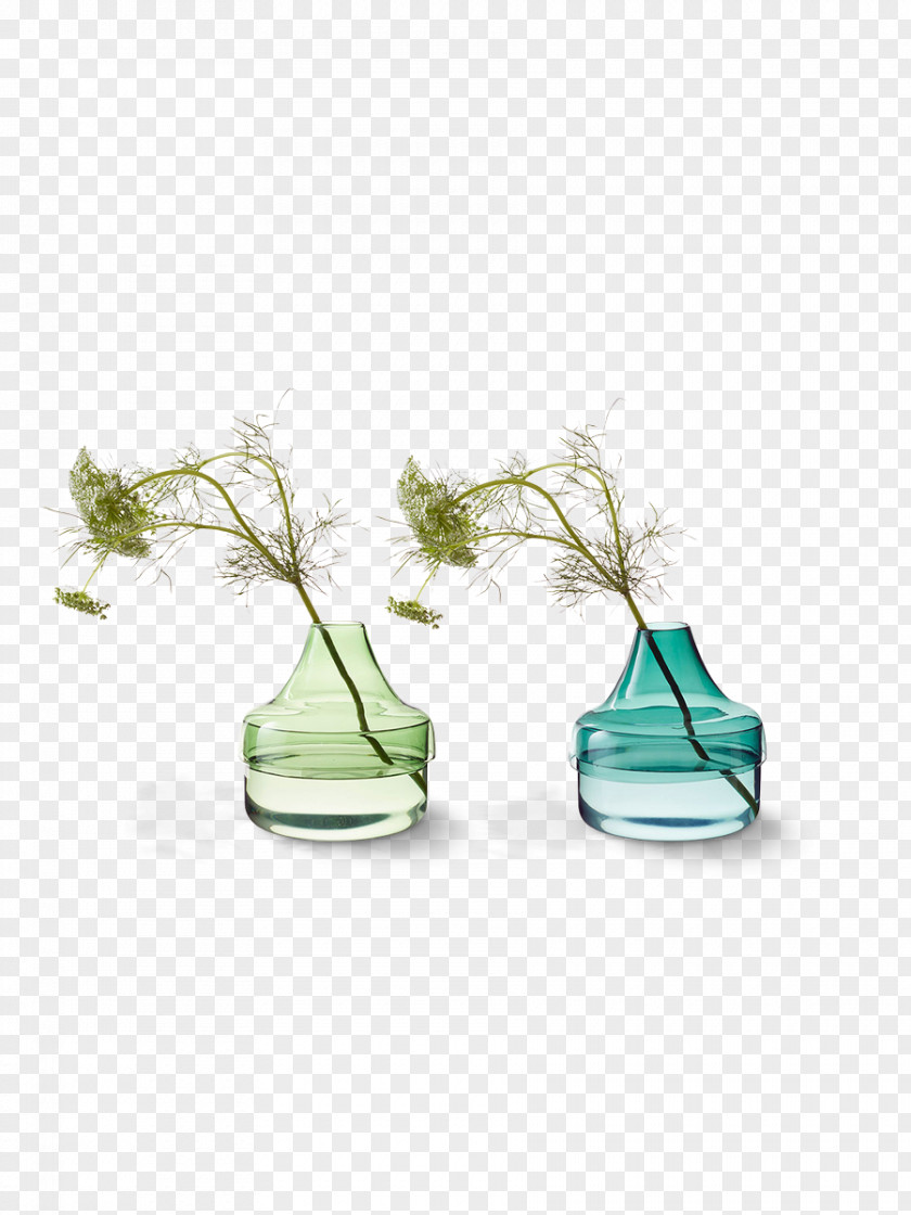 Plant Collections Glass Bottle Vase Color Flowerpot PNG