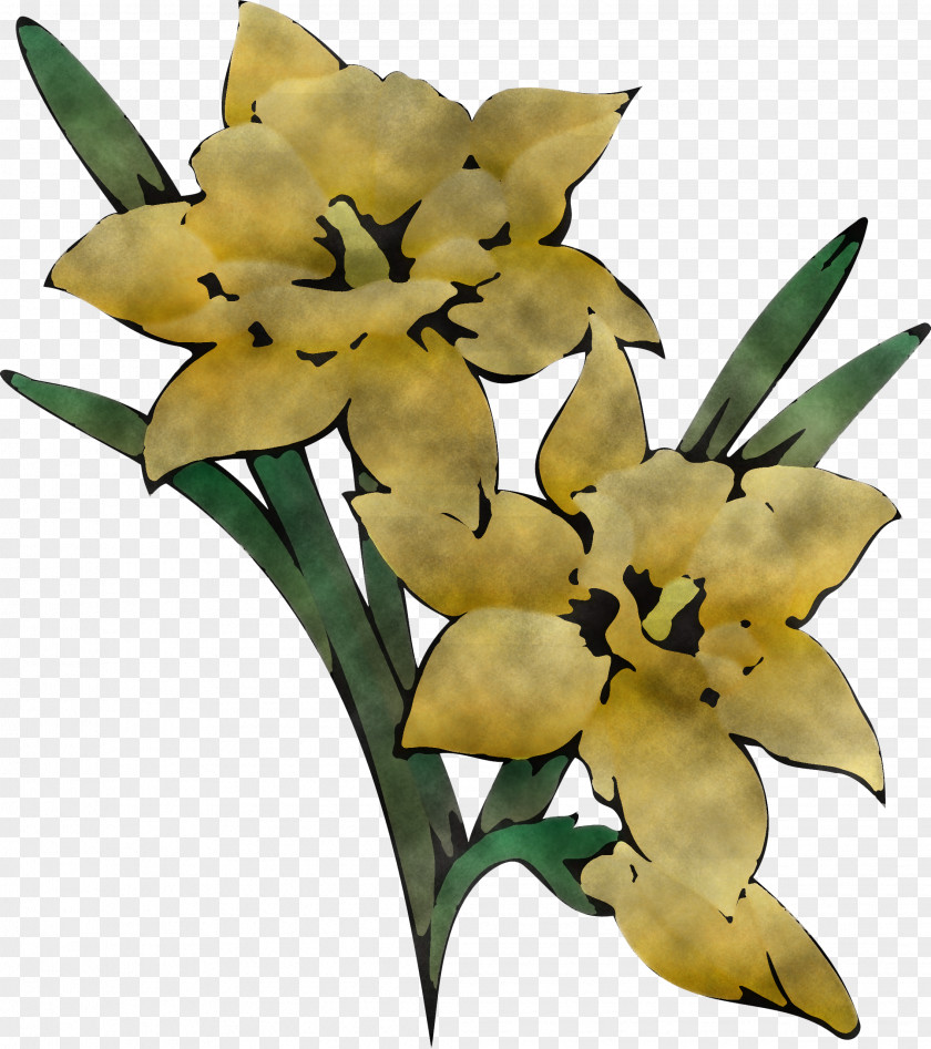 Plant Stem Cut Flowers Flower Yellow Lily Terrestrial PNG