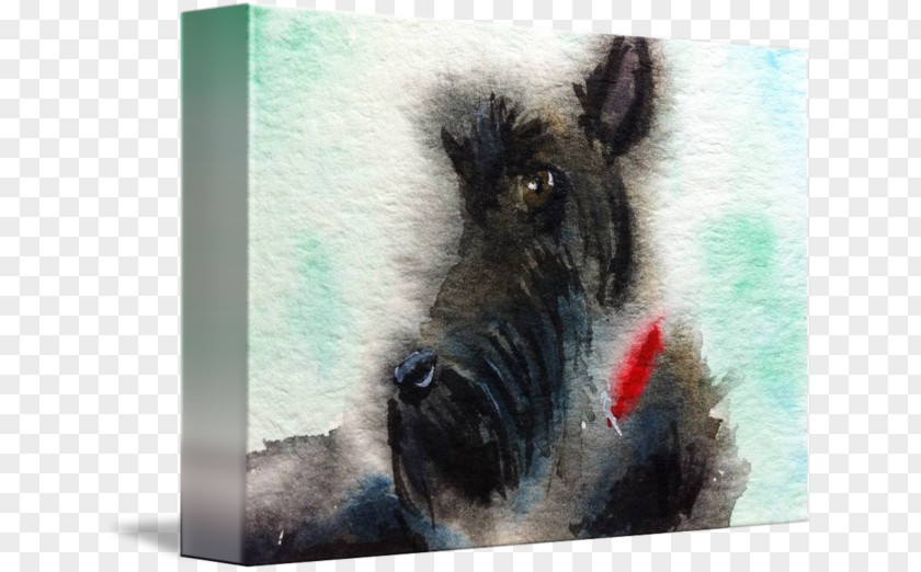 Scottish Terrier Wild Boar Dog Breed PNG