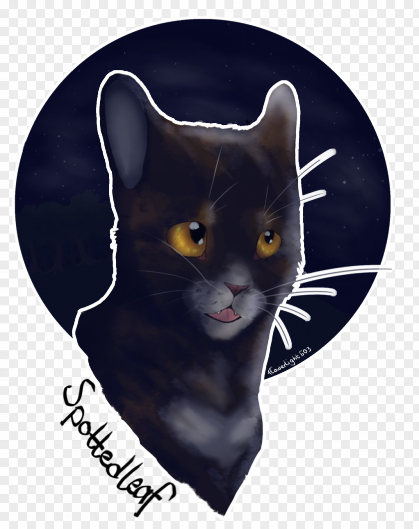Cat Whiskers Domestic Short-haired Snout PNG