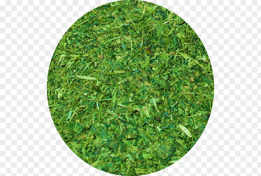 Japan Tea Mat Artificial Turf Lawn St. Augustine Grass Cosmetics PNG