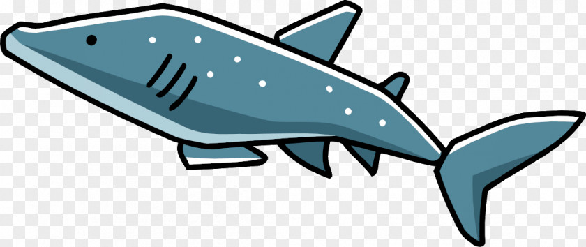 Shark Whale Scribblenauts Cetacea Clip Art PNG