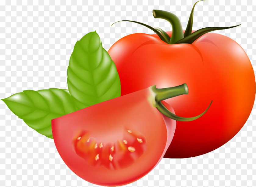 Tomato Leaf Plum Cherry Bush Vegetable Fruit PNG
