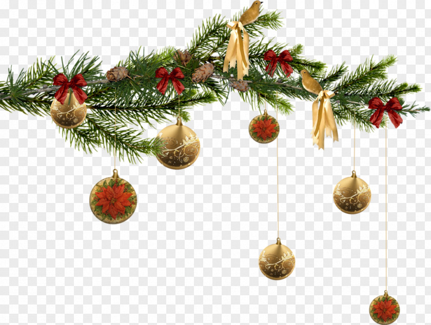 Blog Ded Moroz Santa Claus New Year Tree Christmas PNG