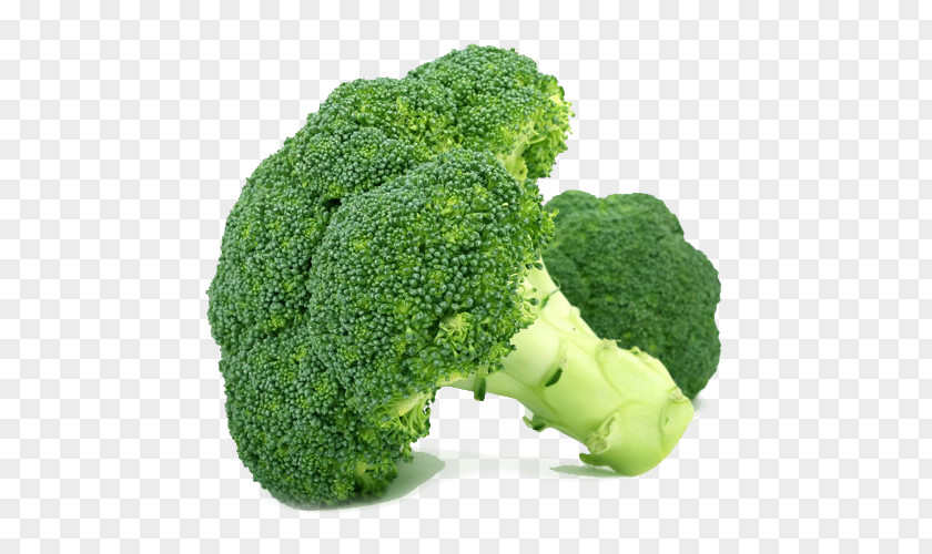 Broccoli Cream Of Soup Vegetable Organic Food PNG