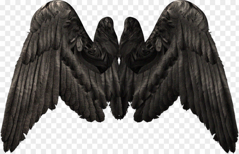 Devil Wings Wing Photography Clip Art PNG