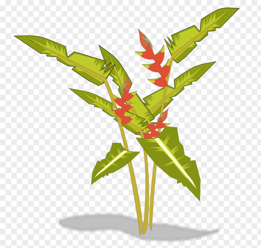 Free Pictures Of Plants Lobster-claws Favicon Bird Paradise Flower Clip Art PNG
