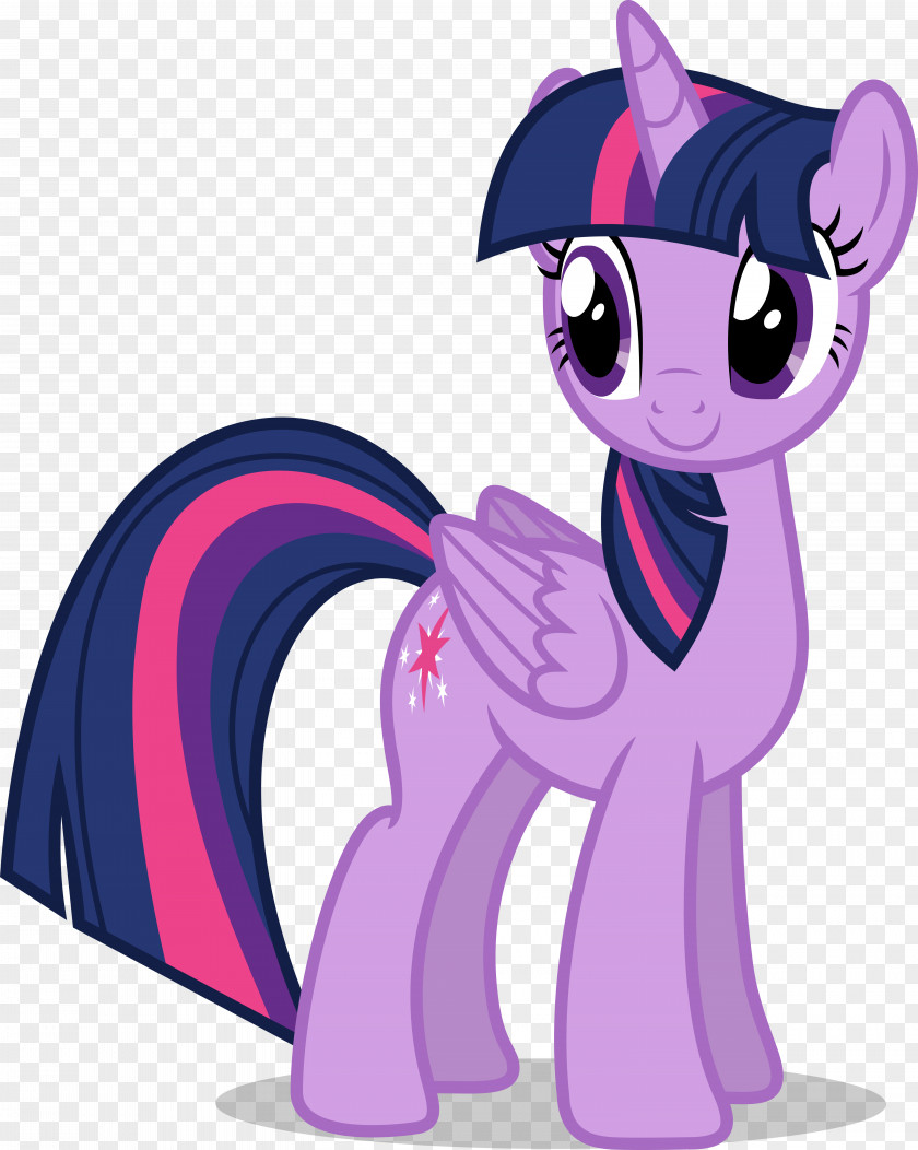 Twilight Sparkle Pinkie Pie Rarity Pony Applejack PNG