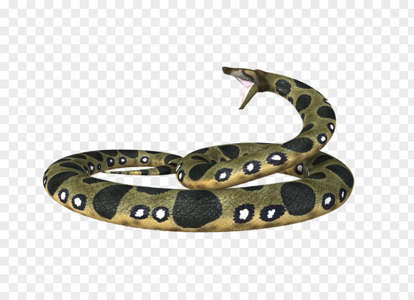 Anaconda PNG Anaconda, brown, white, and black python illustration clipart PNG