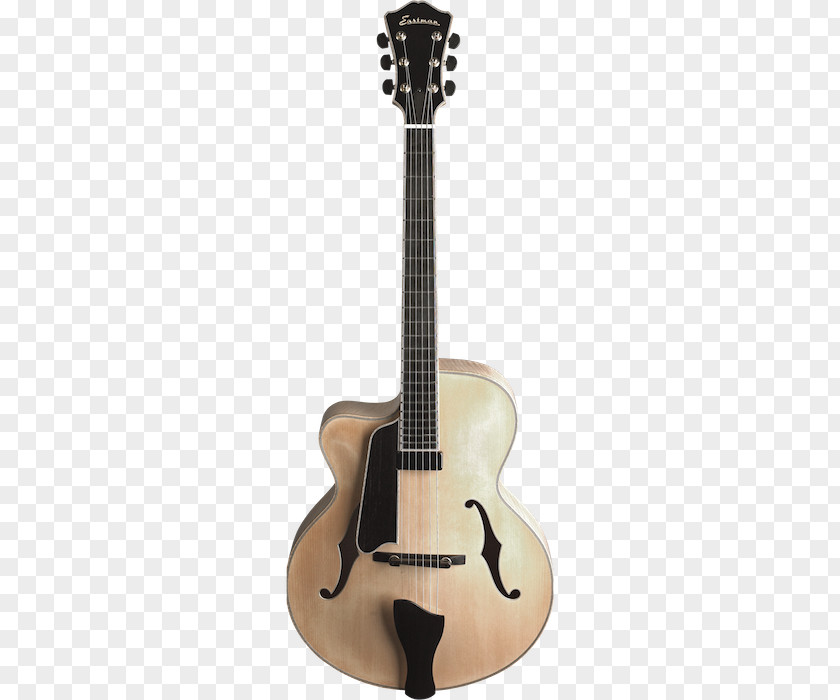 Bass Guitar Acoustic Tiple Ukulele Cavaquinho PNG