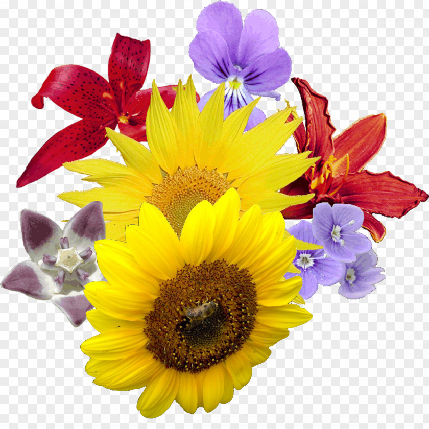 Bouquet Flowers Flower Clip Art PNG