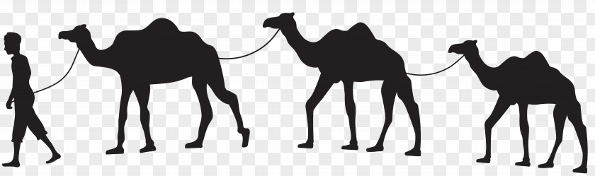 Camel Dromedary Train Silhouette Horse Clip Art PNG