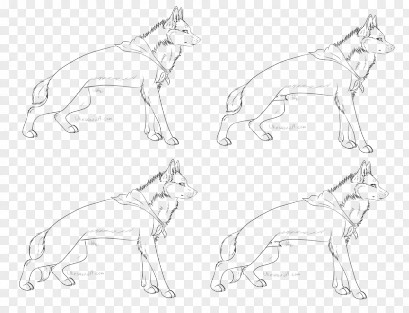 Dog Breed Drawing Line Art Sketch PNG