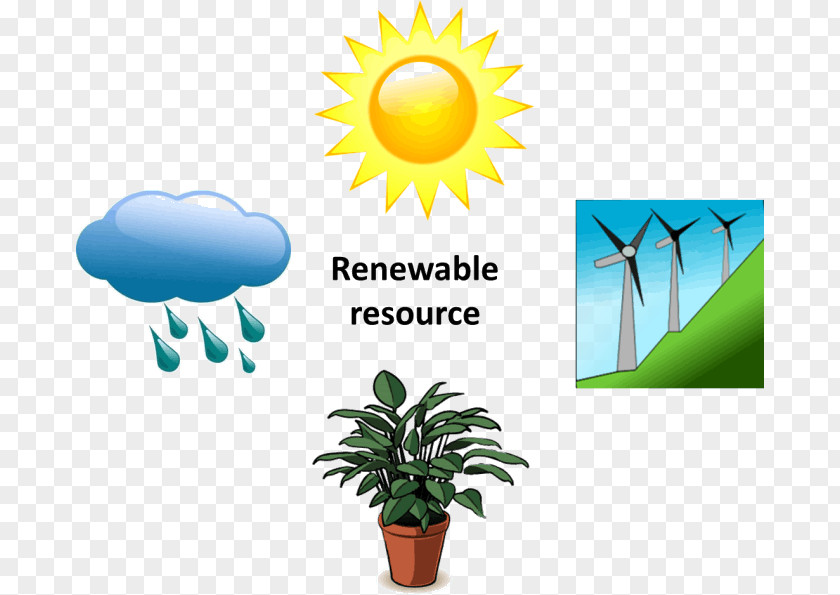 Energy Renewable Resource Flower Plant Reproduction PNG