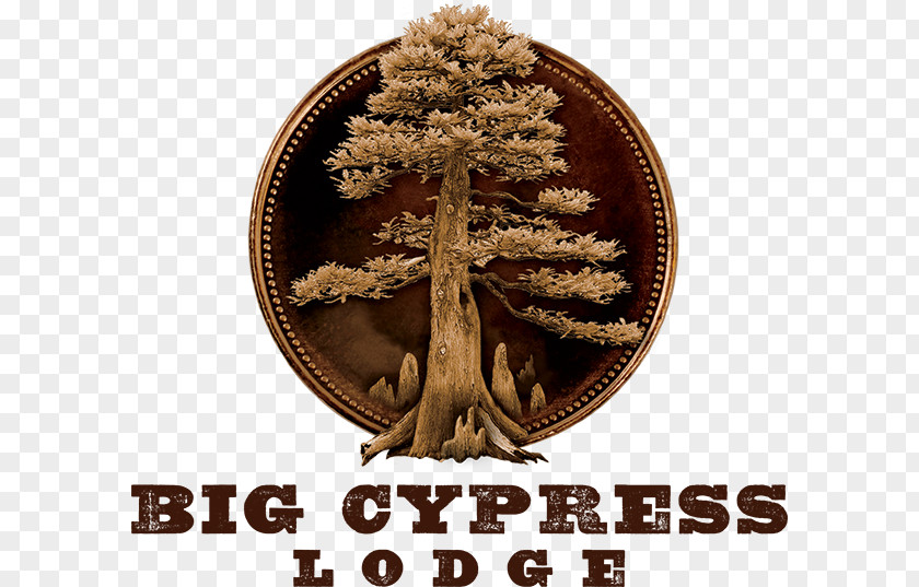 Hotel Big Cypress Lodge Accommodation Branson Bass Pro Drive PNG