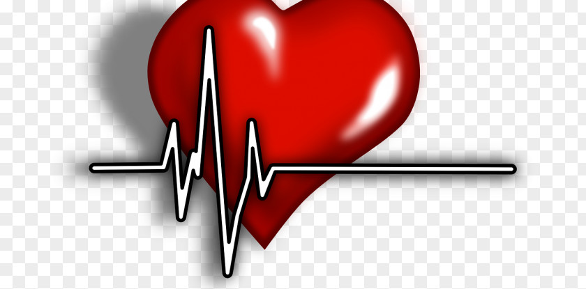 Ms Awareness Cliparts Cardiac Arrest Cardiology Heart Clip Art PNG