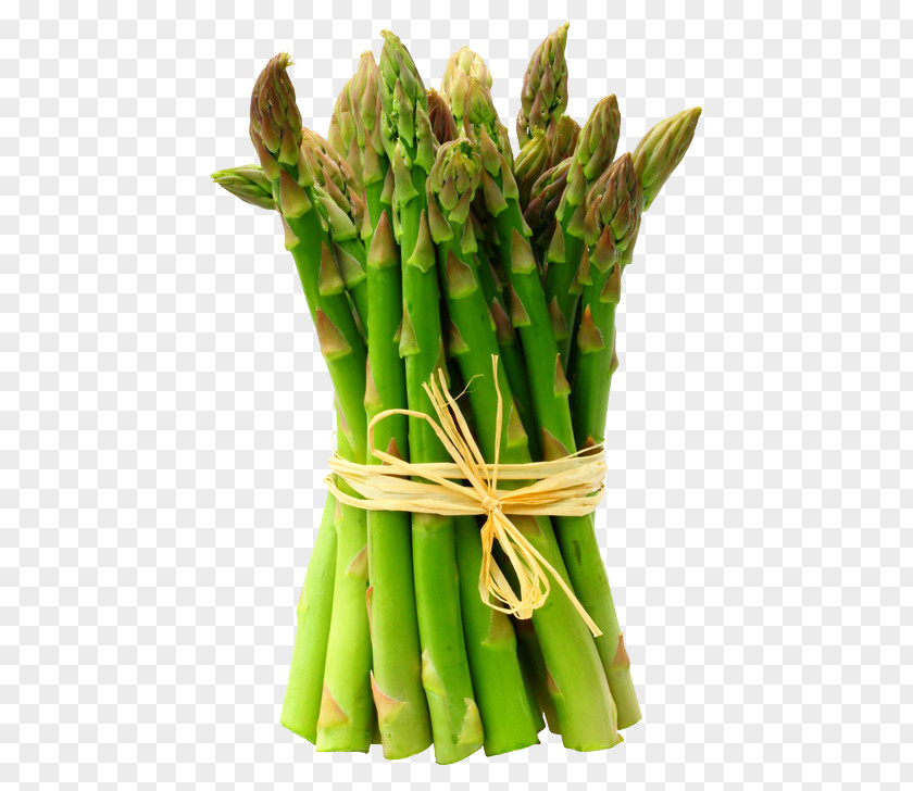 Watercolor Vegetables Asparagus Raw Foodism Health Vegetable PNG