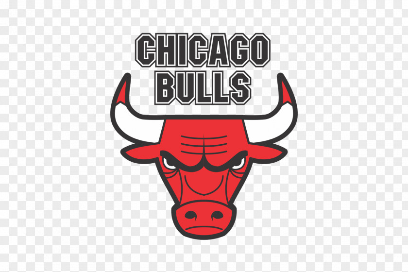 Bull Logo Cliparts United Center Chicago Bulls NBA Washington Wizards Phoenix Suns PNG
