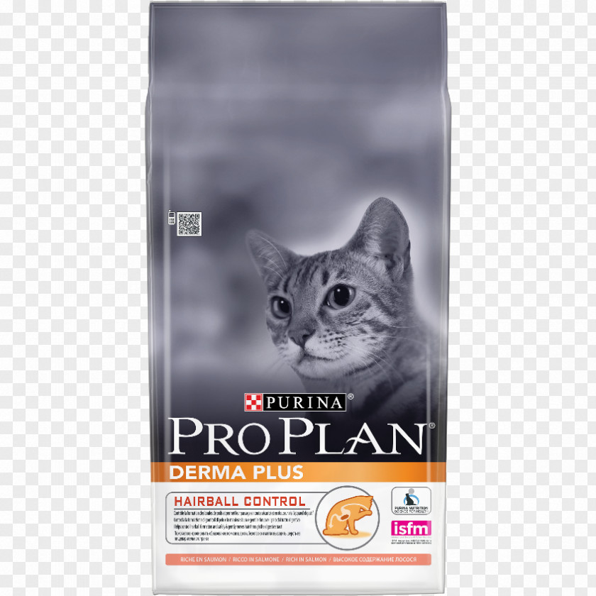 Cat Food Felidae Kitten Dog PNG Dog, clipart PNG
