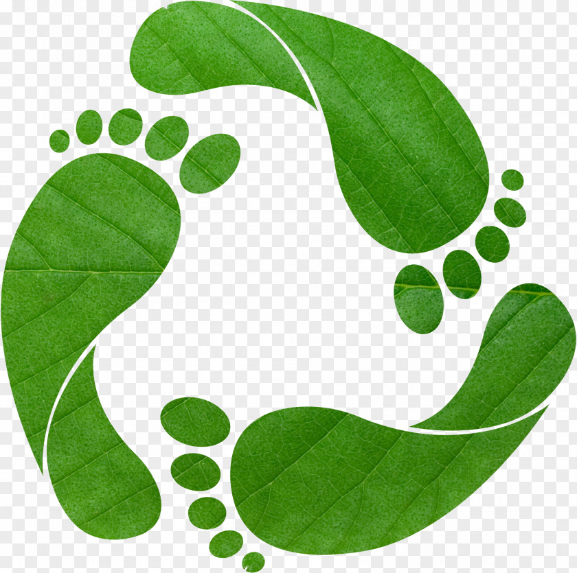 Footprints Earth Overshoot Day Ecological Footprint Carbon Ecology Clip Art PNG