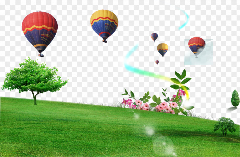 Grass Balloon Outdoor Recreation Landscape Download PNG