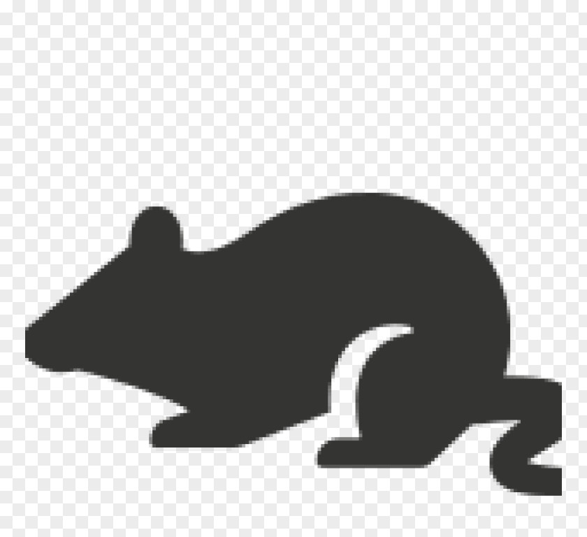 Mouse Rodent Pest Termite PNG