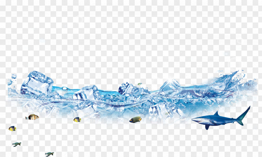 Water,Ice,dolphin,fish,Fish,iceberg Ice Cream Euclidean Vector Cube PNG
