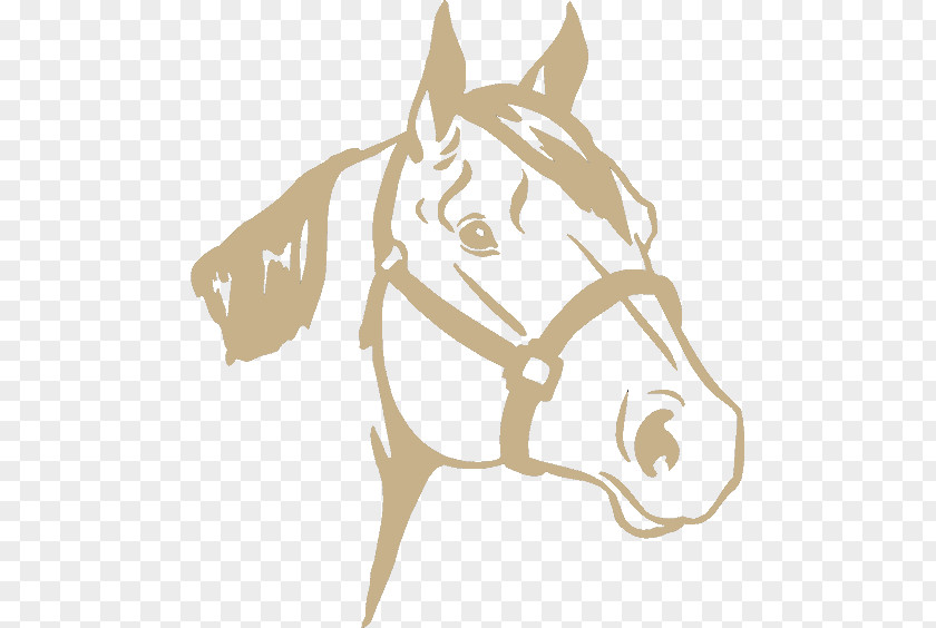 Window American Quarter Horse Wall Decal Sticker PNG