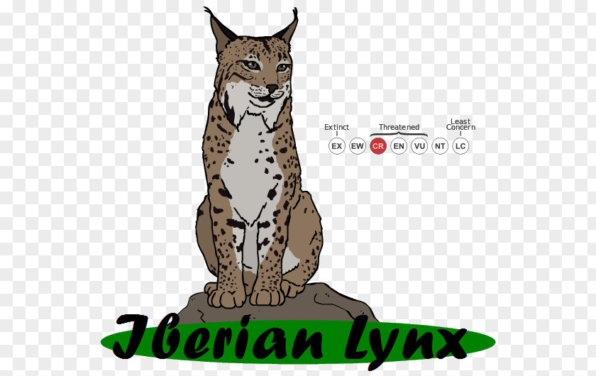 Cheetah Whiskers Ocelot Wildcat Bobcat PNG