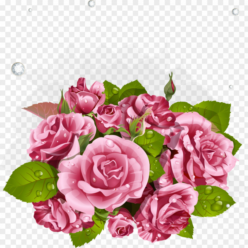 Flower Garden Roses Cut Flowers PNG