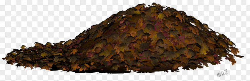 Leaf Autumn Color Clip Art Image PNG