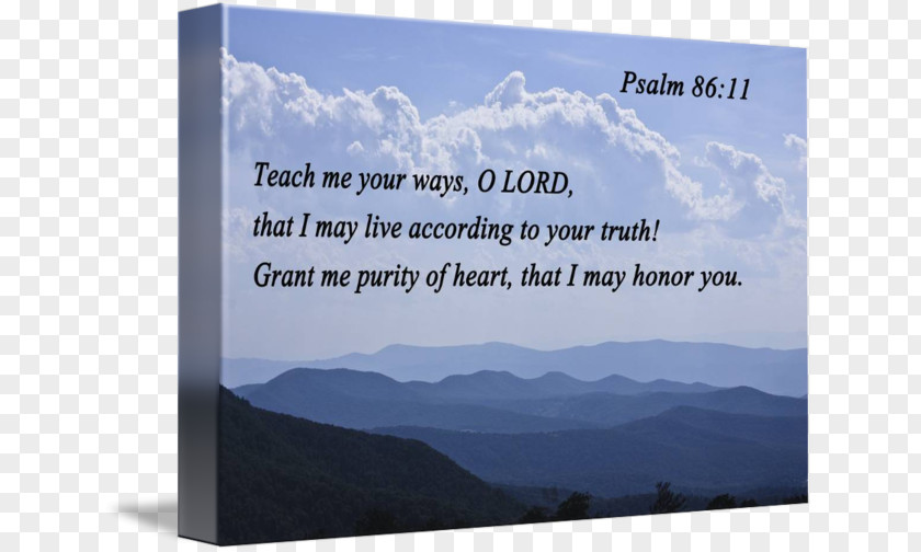 Psalm New International Version Psalms Keyword Research Google Trends Biblica PNG
