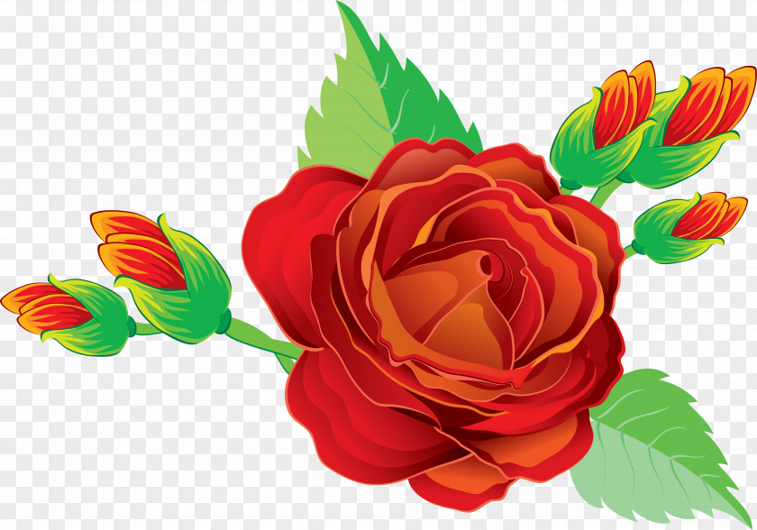 Rose Flower Heart Clip Art PNG