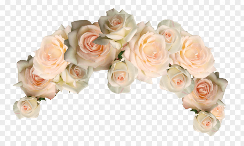 Rose Order Plant Garden Roses PNG