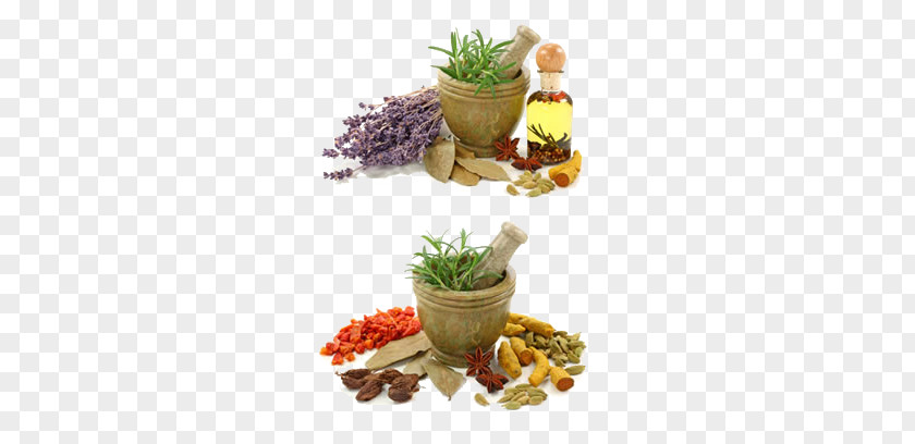 Spices And Garlic Mortar HQ Pictures Ayurveda Medicine Alternative Health Services Vata PNG