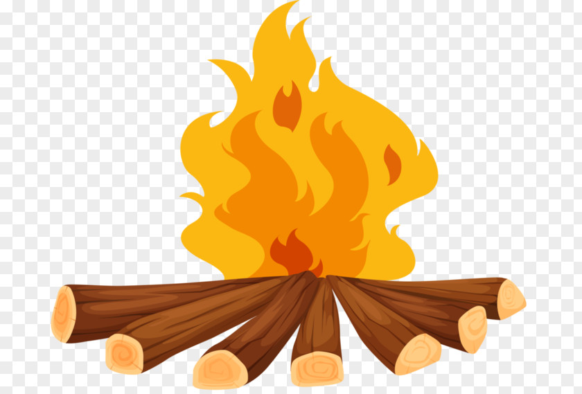 Wood Fuel Firewood PNG
