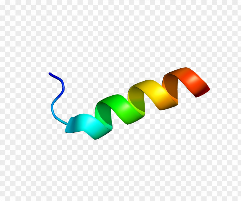 Z S100A11 S100 Protein Gene Calcium-binding PNG
