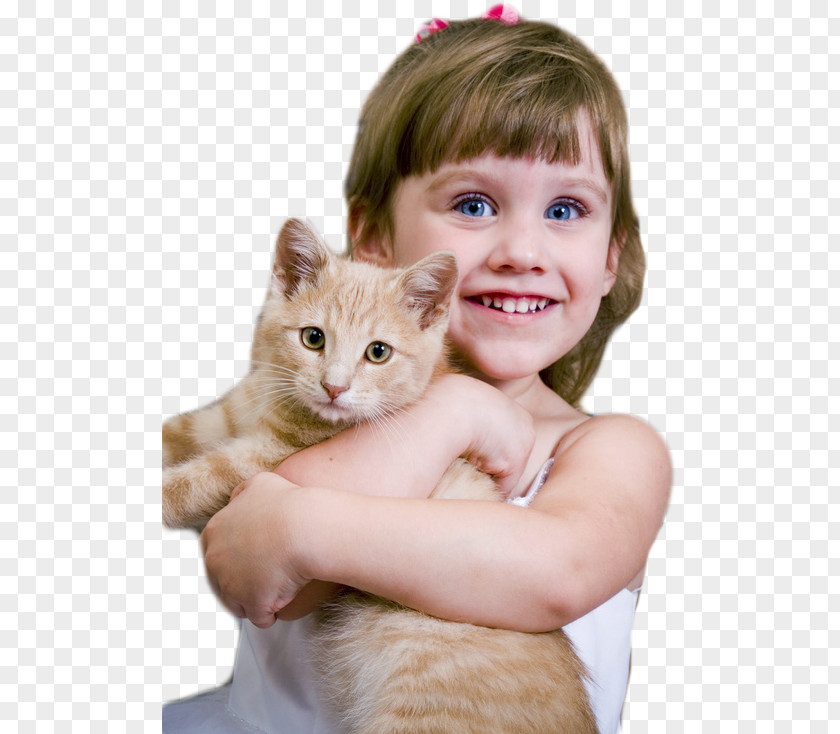 Cat Kitten Dog Pet Adoption PNG