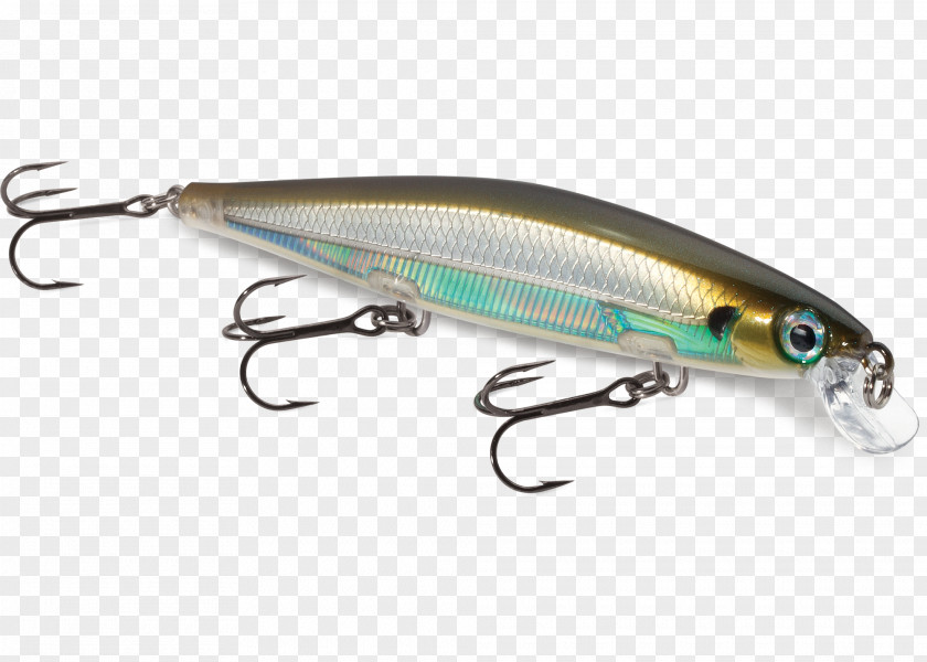 Fishing Rapala Baits & Lures Tackle Surface Lure PNG