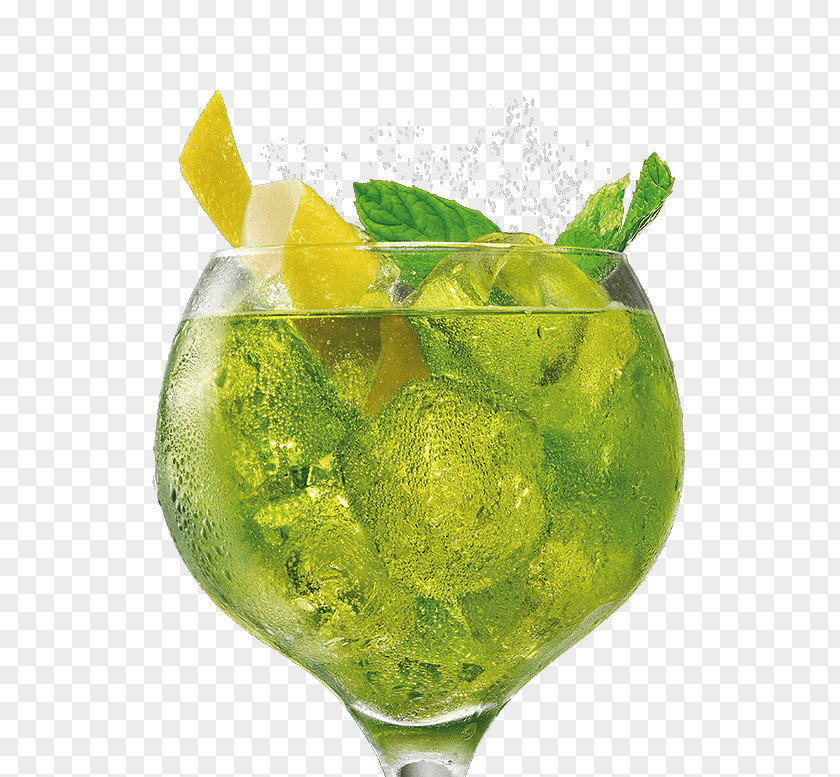 Mojito Tonic Water Gin And Cocktail PNG