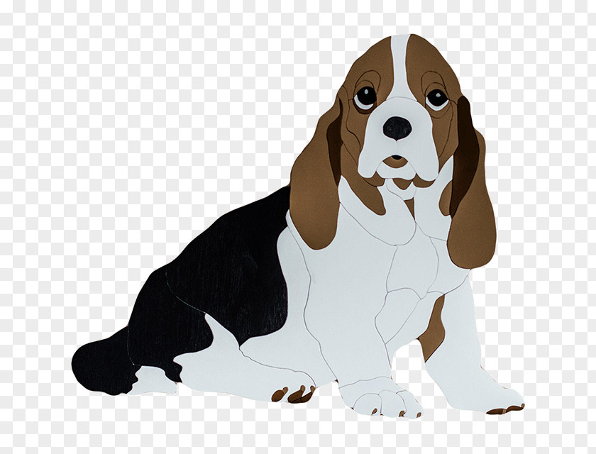 Puppy Dog Breed Beagle Companion Snout PNG