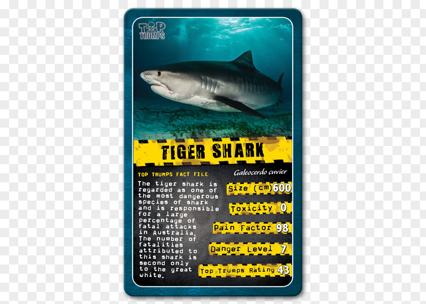 Shark Winning Moves Top Trumps Card Game PNG