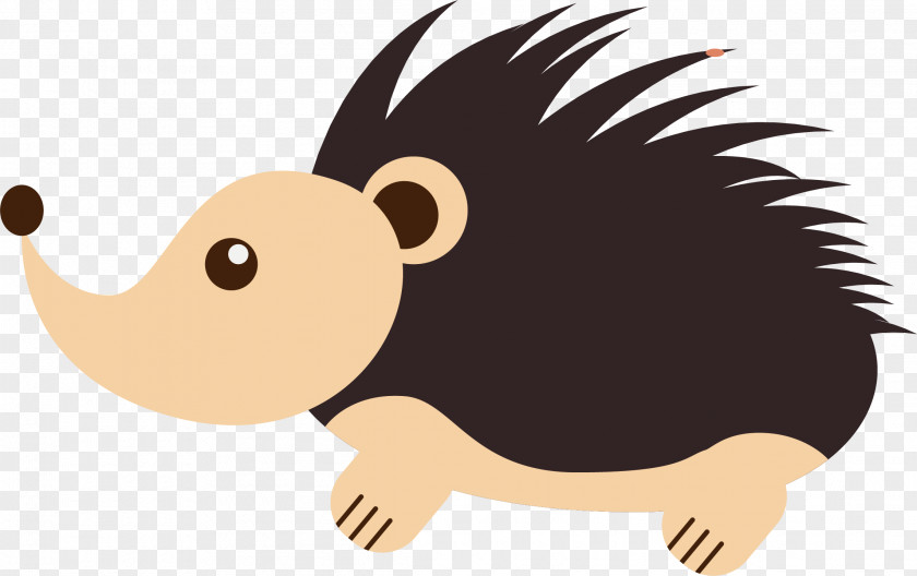Vector Hand-painted Hedgehog Drawing Euclidean PNG