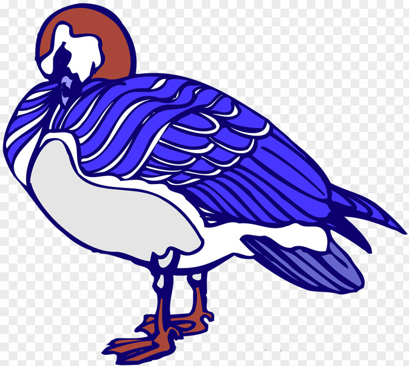 Bird Beak Water Cobalt Blue Vulture PNG