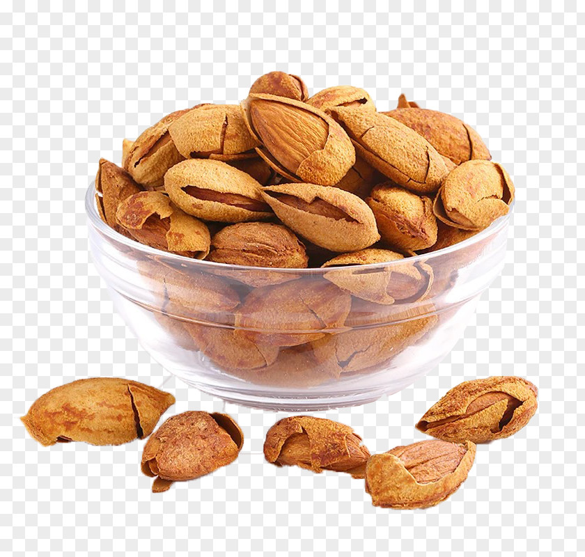 Bowl Almond Squirrel Dried Fruit Snack Nut PNG