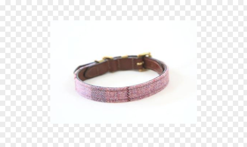 Dog Bracelet Collar Strap PNG